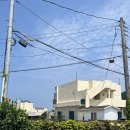 [제주] 제주 여행 2박3일_(1) | 엉클프레즐하우스, 함덕해수욕장, 송당무끈모루, 레스빠스