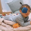 새빛안경 이미지