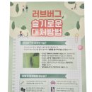 금천구보건소｜ 러브버그 슬기로운 대처방법 리플렛 제작·납품 후기