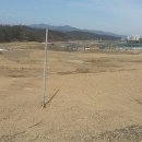 알파모텔 이미지