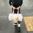 리복헬스 | 내돈내산 크로스핏 운동가방 추천｜로우로우 x 리복 더플백 900 솔직 후기