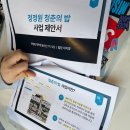 청춘이오란다 이미지