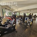 라이크핏 이미지
