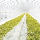 태훈농장 이미지