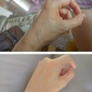 조에오가닉 | 조에오가닉 퍼펙팅에센스 후기모음