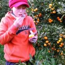 유명숙농장 이미지