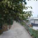 테마웰빙