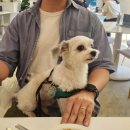 영화산책 | 2025. 6. 영화 3편 감상후기 / 백운호수 산책 / 증명사진촬영 / 먹방 등