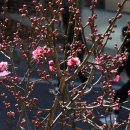 거창읍-26 이미지