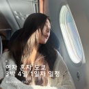 블루파워 김포1호 발전소 | 6월 여자 혼자 도쿄 여행 3박 4일 1일차 일정 경비 총정리