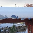 봉선민박 이미지