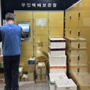 롯데택배 강릉선교장점 | 목포애견동반숙소 찾는다면? 반려견과 함께하는 완벽한 한달살기 공간 발견!