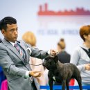 더제이디