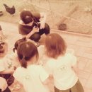 건우목장 이미지