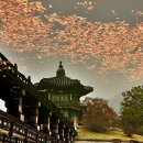 (주)아름다은 이미지