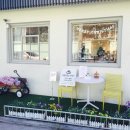 하리네집 이미지