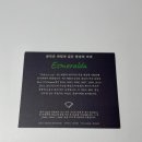 커피파나마