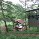 통미