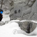 맑은샘이 있는 봄 이미지