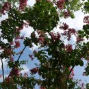 운암지수변공원 이미지