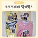 럭키세탁 | 로토토베베 럭키박스 후기