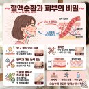 시너지월드와이드코리아이명국 | 다이어트했더니 피부가 더 좋아졌어요ㅣ혈관피부 안색개선 시너지원팩 후기