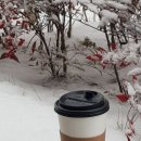 TOY&CAFE원앤원(토이앤카페원앤원)