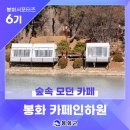 카페인하원 이미지