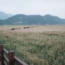 자연테크 이미지