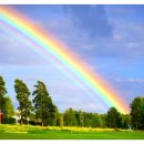 강일청과 이미지