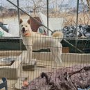 기찬농장 이미지