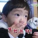 엄식당 | 운학산책하자니까오늘은힘들어