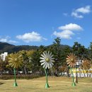 [경남/마산] 2024 마산 가고파국화축제 다녀온 후기 : 개화상황, 주차장 정보 등