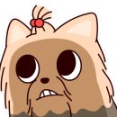 도학야영장 이미지