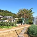 남구미로-5 이미지