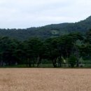 고향마을 - 수원시 권선구 일월천로10번길 2 | 고향마을