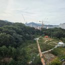 꿈앤들 통기타 이미지