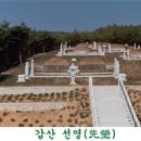 선영