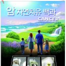 암 치료 과정에서 표준치료 외 치료에 도움되는 치료들 이미지