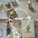해피왈츄 | 강아지수제간식 해피왈츄 주문한 후기 알려드립니다