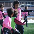 대전화정초교 이미지