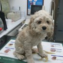 온마음동물병원 이미지