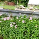 진봉농장 이미지