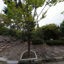 가톨릭대학교 성심교정 이미지