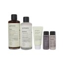 프리메라2 이미지