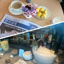 한국의 소설과 대화하기 | 시그니엘 부산 라운지 후기: 모닝 리프레시 vs 이브닝 딜라이트 비교