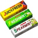 신양오리 | 은퇴생활/제주도 캠핑여행/ 성산포 광치기해변/제주도 차박하기 좋은 곳