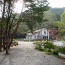 영월캠프 이미지