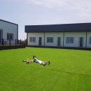 제주벨루가 이미지