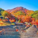 삼성사 | 하동 | 사전지식 없이 가면 놀랄 수 있는 삼성궁, 겨울 후기